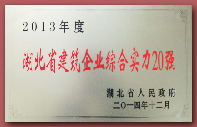 2013年度湖北省建筑业综合实力20强奖牌