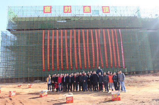 新八集团青促会委员现场学习观摩武汉汽车公园一期工程
