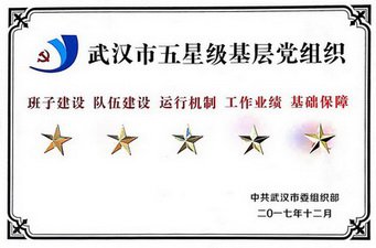 新八集团党委被武汉市委组织部授予“武汉市五星级基层党组织”荣誉称号