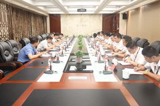 武汉市委常委、副市长李有祥莅临新八集团调研指导工作
