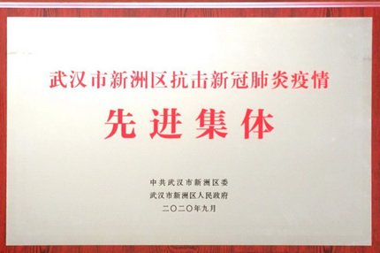 新八集团获评“武汉市新洲区抗击新冠肺炎疫情先进集体”荣誉称号